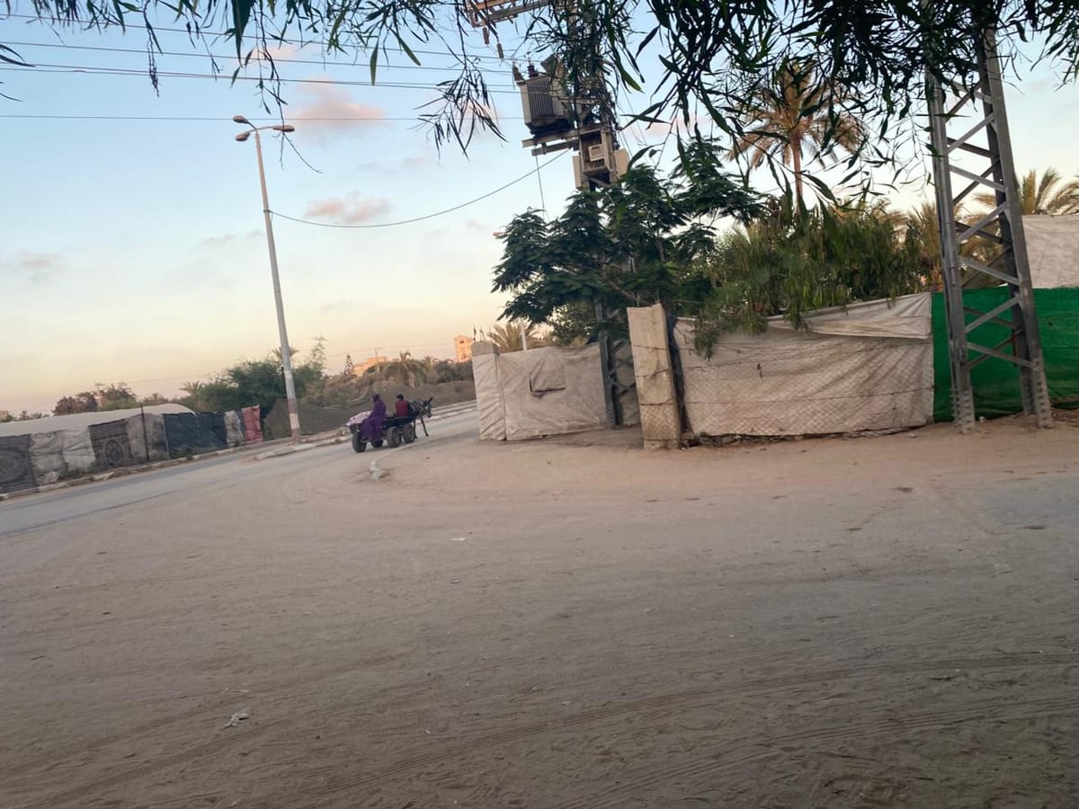 حمار يحمل المدينة